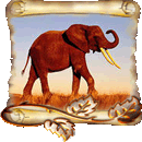 Тематические Кроссворды - Кроссворд `Летающий слон`